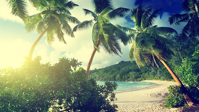 Urlaubszeit ist Detox-Zeit