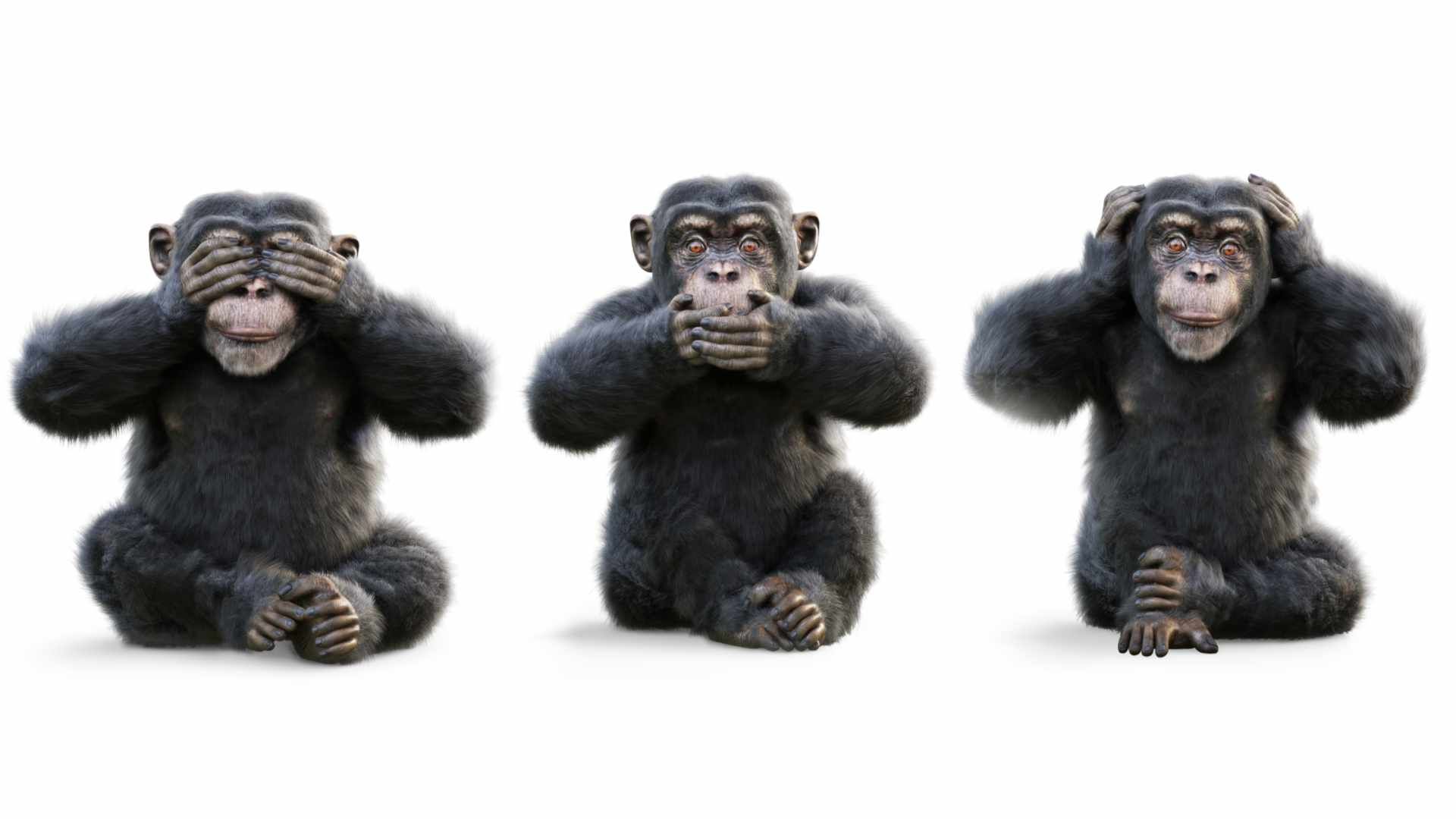 Vorsicht bei AGB-Klauseln zu generativer KI