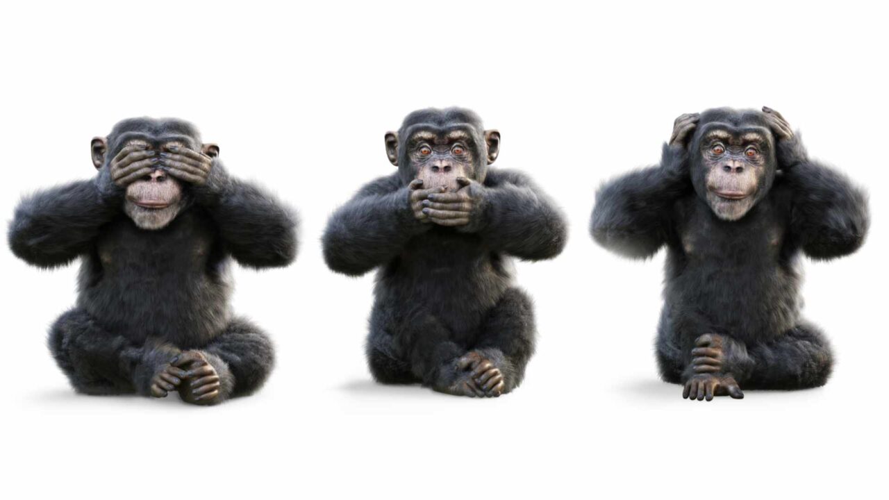 Three wise monkeys