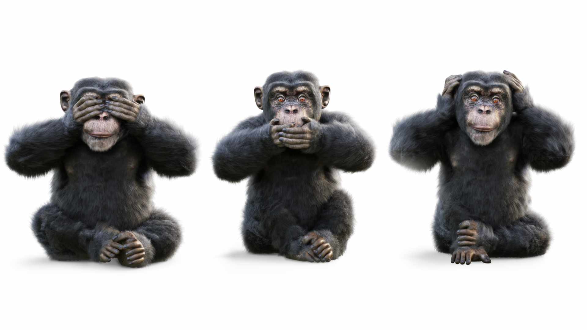Caution advised with T&C clauses regulating generative AI