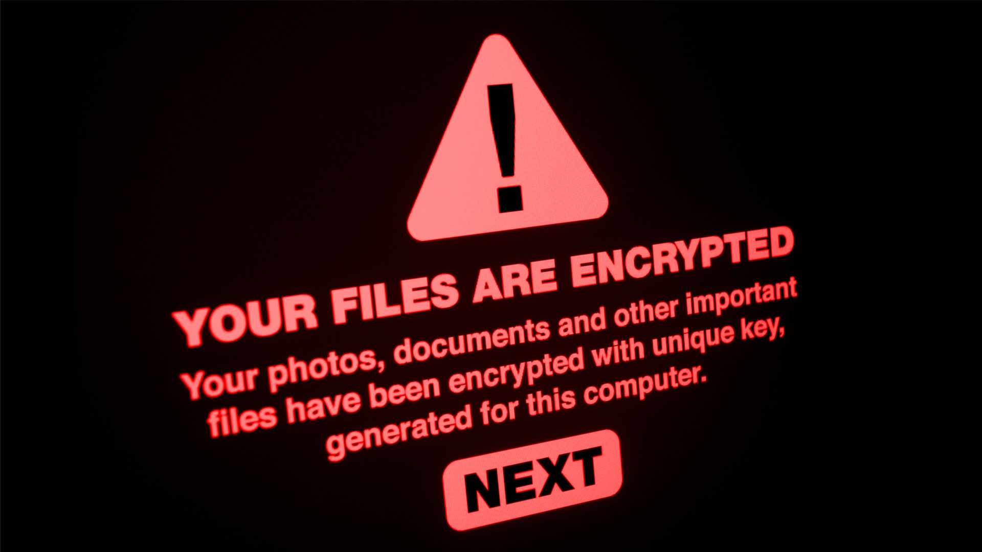 La moitié des entreprises victimes de chantage par ransomware paient pour récupérer leurs données