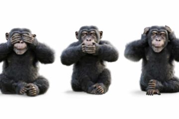 Three wise monkeys