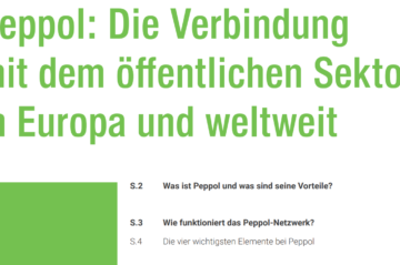 Peppol Whitepaper Screenshot Detail